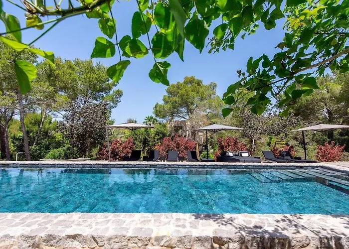 Off The Grid Ibiza