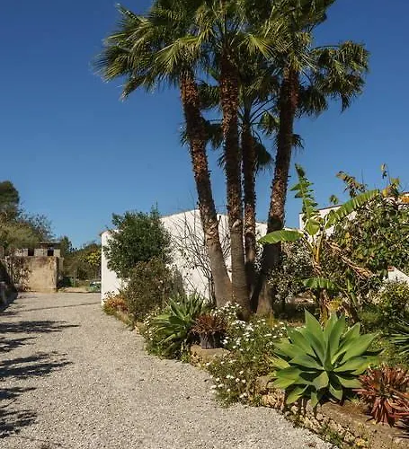 Can Beia Rural House Ibiza