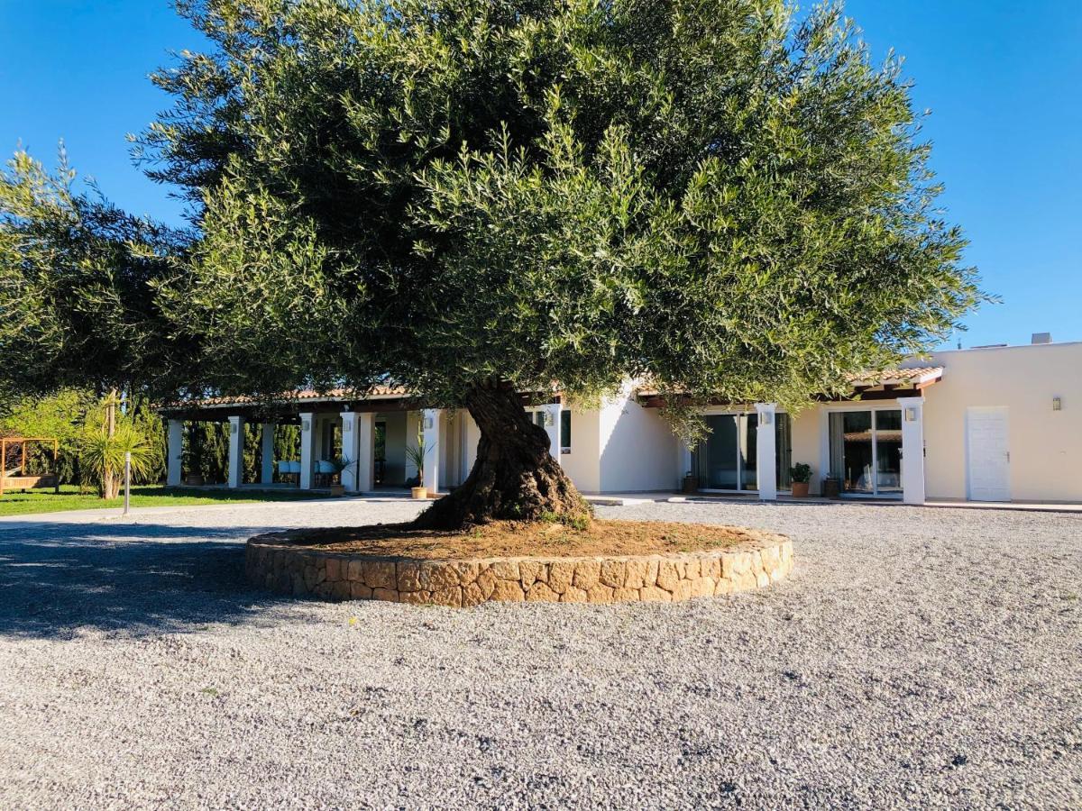 Justbeandbeibiza Bed & Breakfast San Antonio (Ibiza)