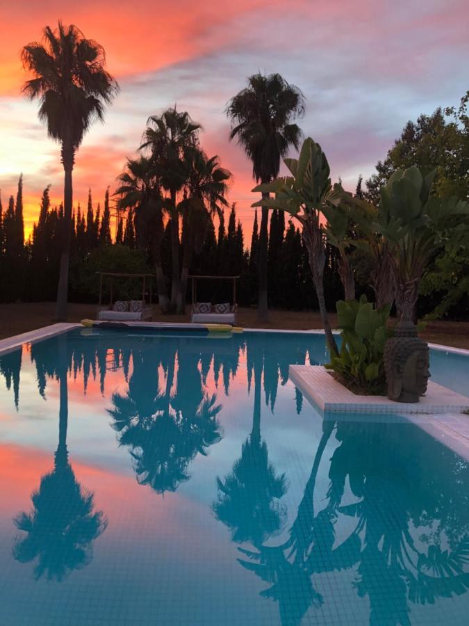 Bed & Breakfast Justbeandbeibiza San Antonio (Ibiza)