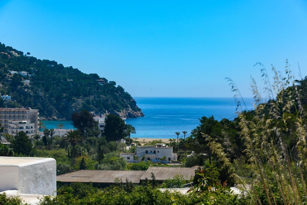 Sans Cala De San Vicente (Ibiza)