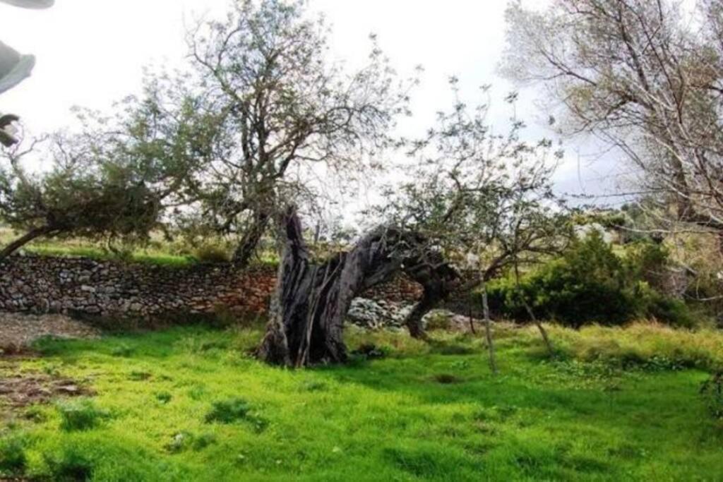 Vakantiehuis Casa Tipica Ibicenca, Encanto Y Comodidad Sant Carles de Peralta