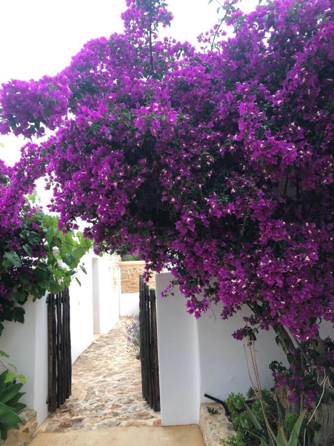 Can Bonet De Baix De Cas Micali Casa de férias Santa Gertrudis (Ibiza)
