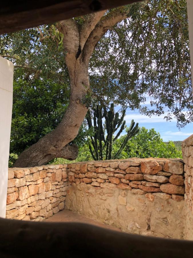 Can Bonet De Baix De Cas Micali