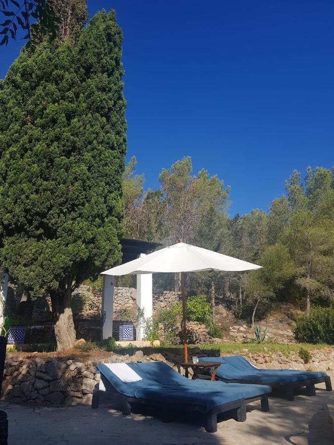 Villa Can Vicent Masia