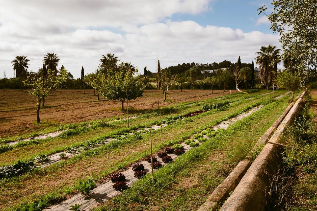 Rural Xereca Farm stay