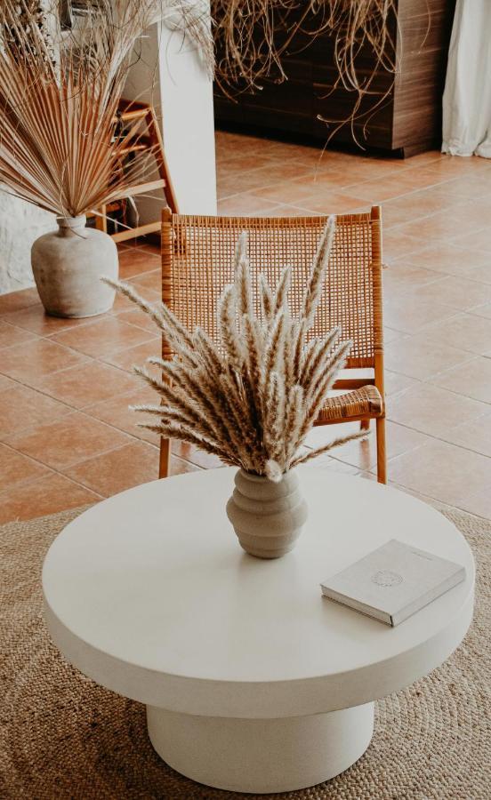 Pousada Casa Stellar - Boutique With Private Heated Pool And Sea View - Sustainably Solar Powered San José
