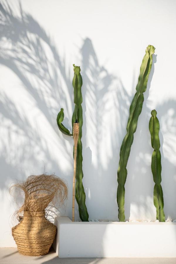 The Olive Boutique &