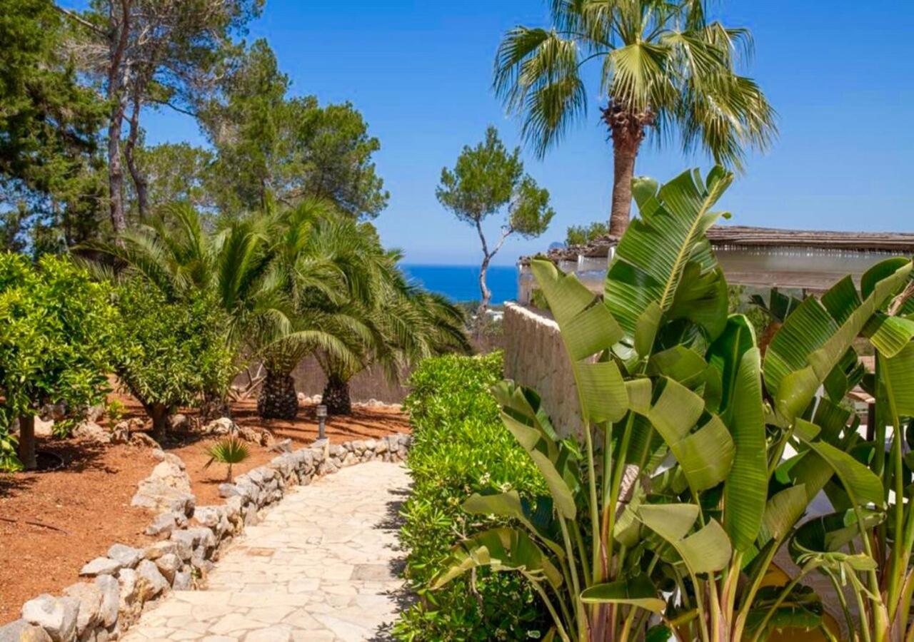 La Ibiza San José