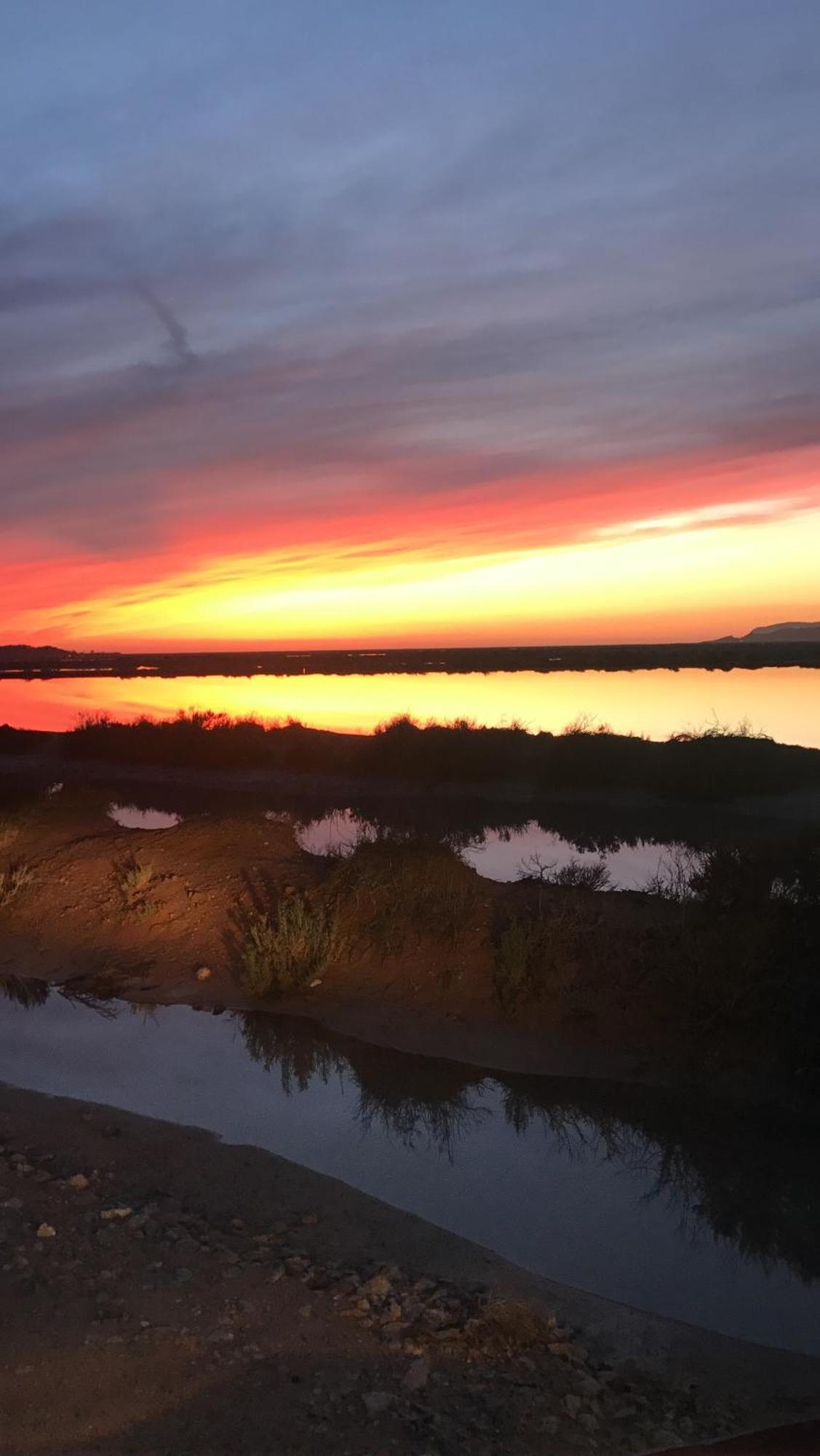 Villeta Salinas * Sant Francesc de s'Estany