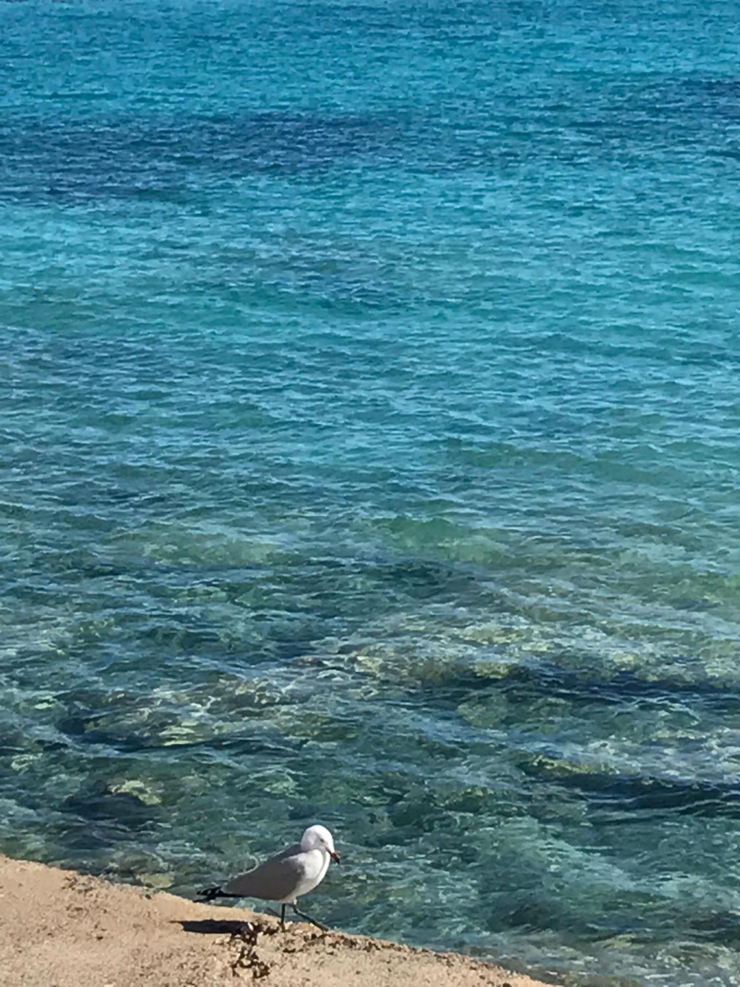 Villeta Salinas Vakantiehuis *