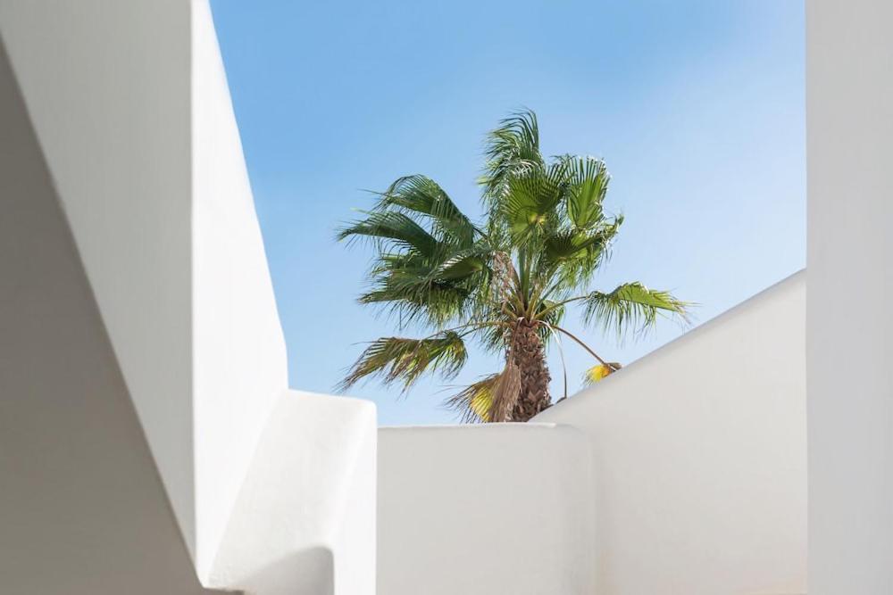 Apartment Bossa Collection Platja d'en Bossa