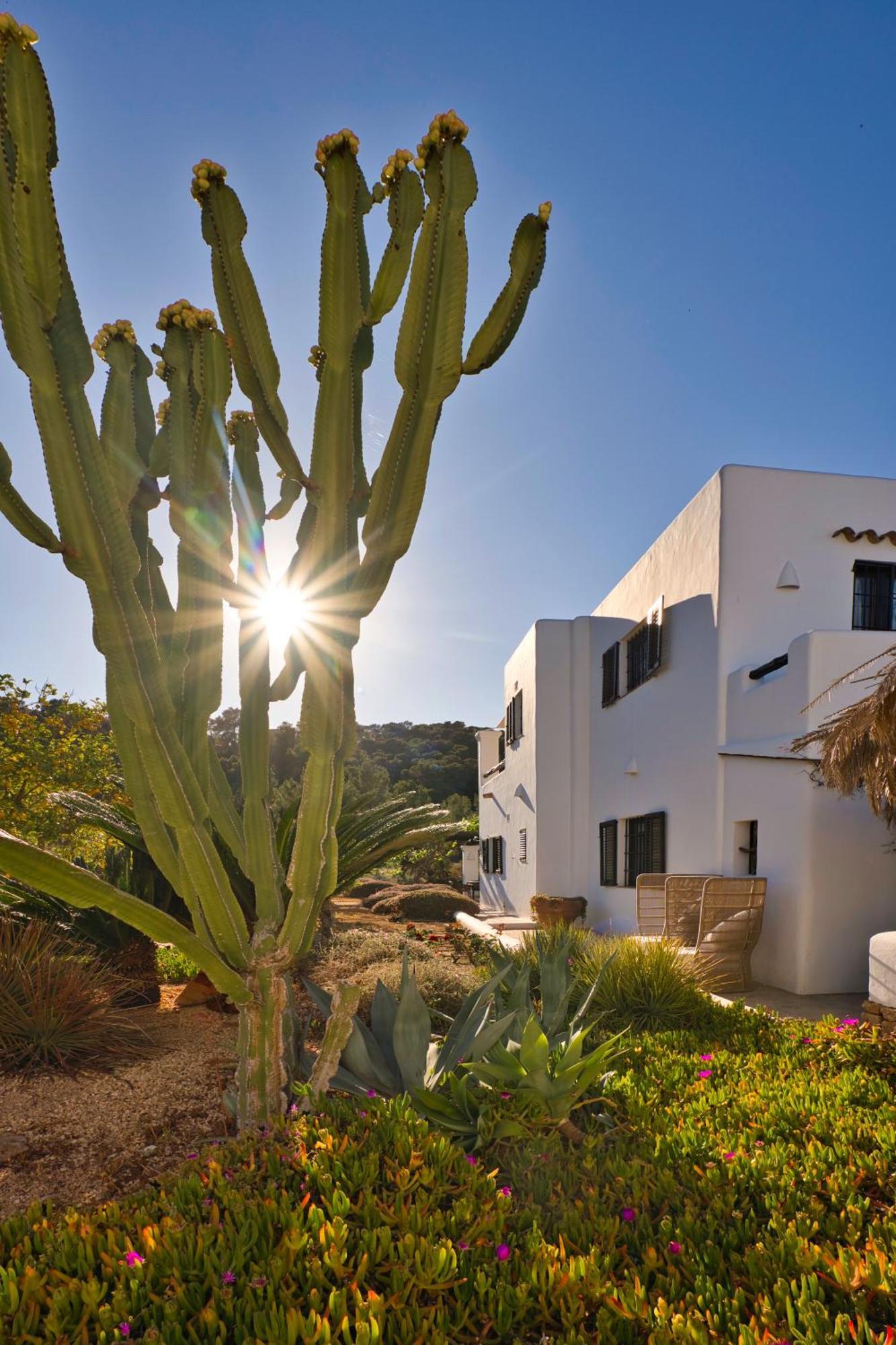 Verru * San Antonio (Ibiza)