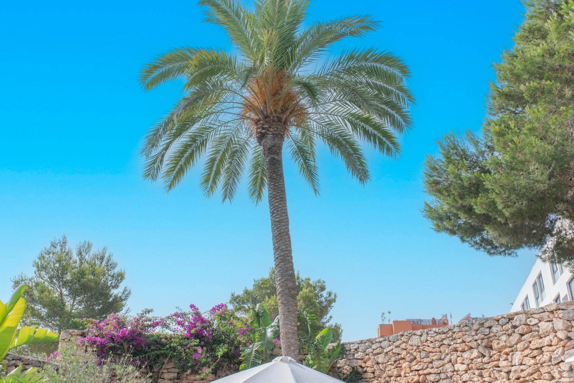 Chic Ibiza Nearby Olivera Santa Eulària des Riu