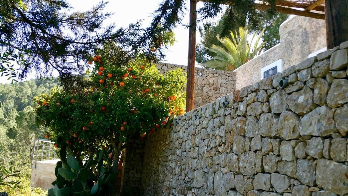 Villa Designed Comfort Hilltop Licence Et0447e