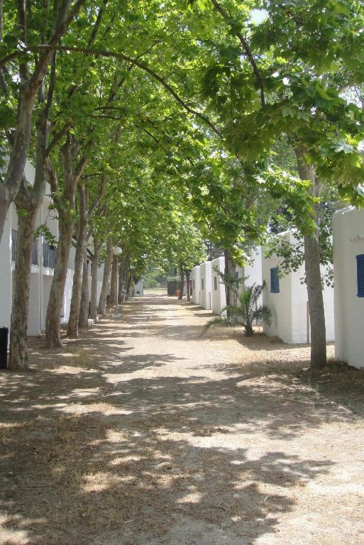 Camping San Antonio Acampamento San Antonio (Ibiza)