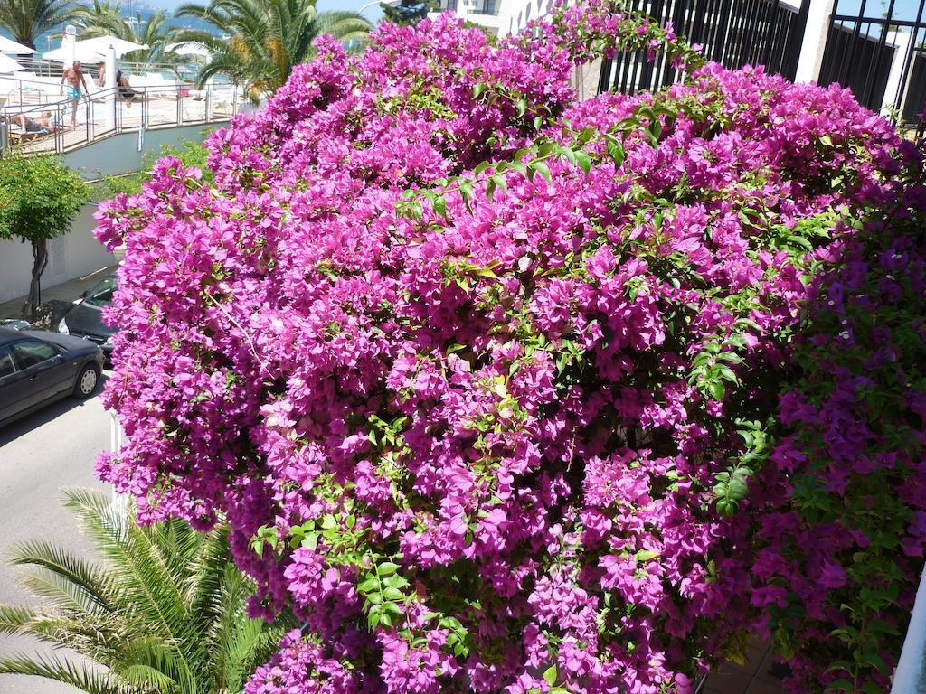 Hotel Osiris Ibiza San Antonio (Ibiza)