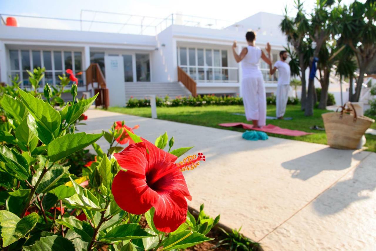 Cala Llenya Ibiza Hotel