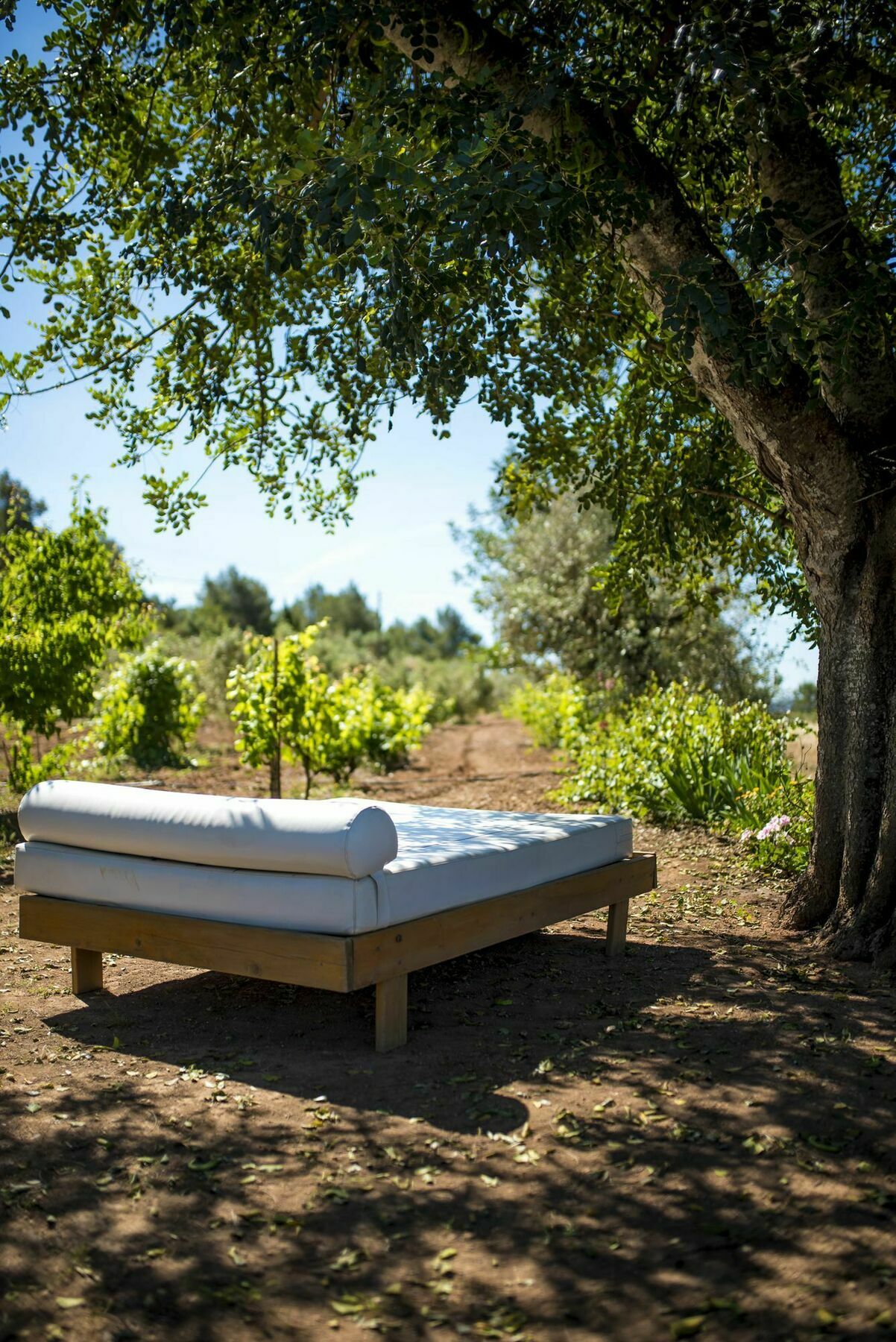 Concava Camp Villa