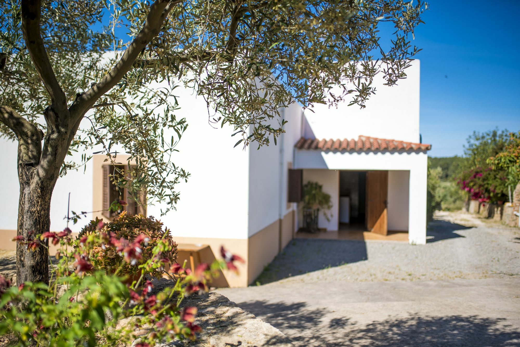 Concava Camp