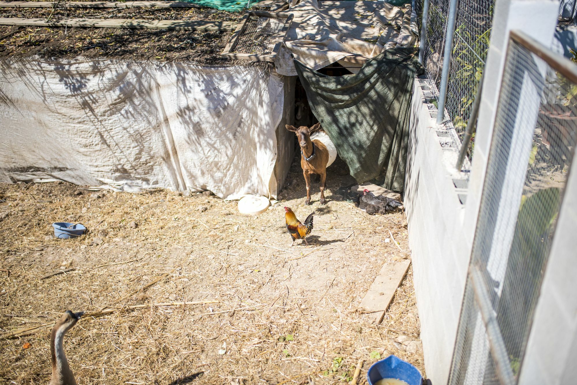 Concava Camp San Antonio (Ibiza)