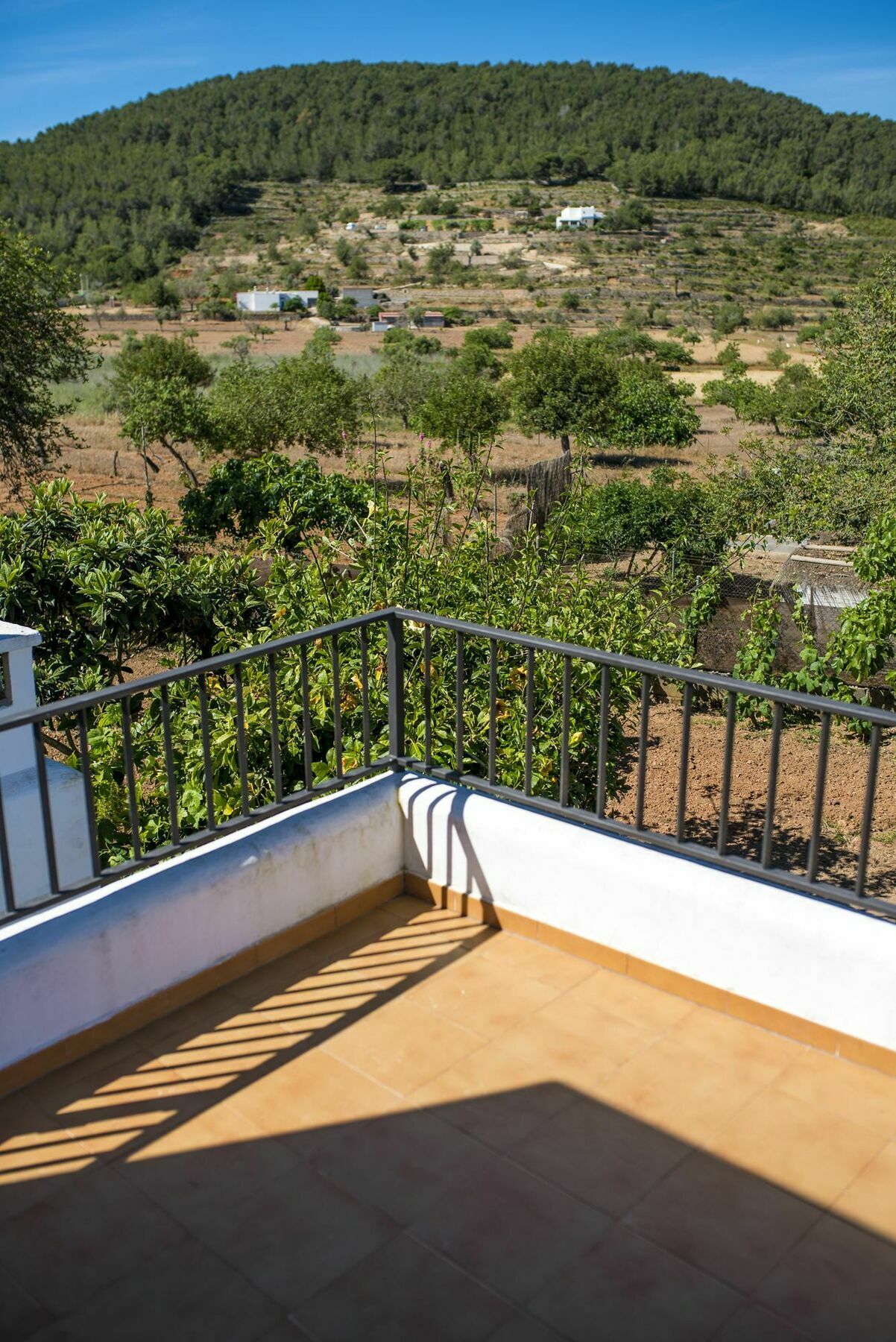 Villa Concava Camp San Antonio (Ibiza)