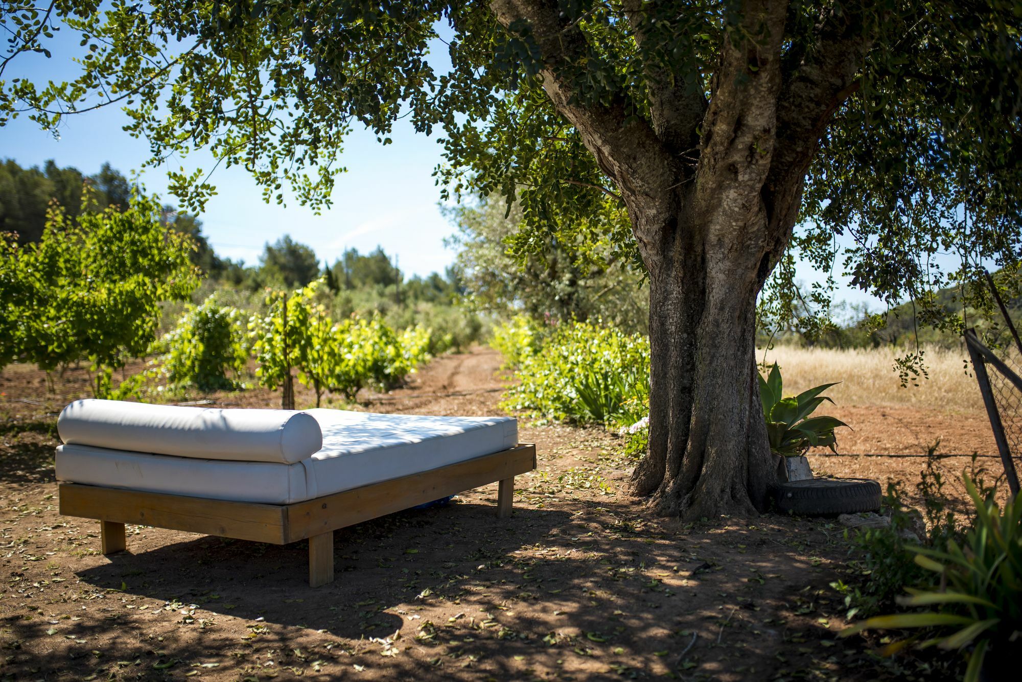 Villa Concava Camp San Antonio (Ibiza)
