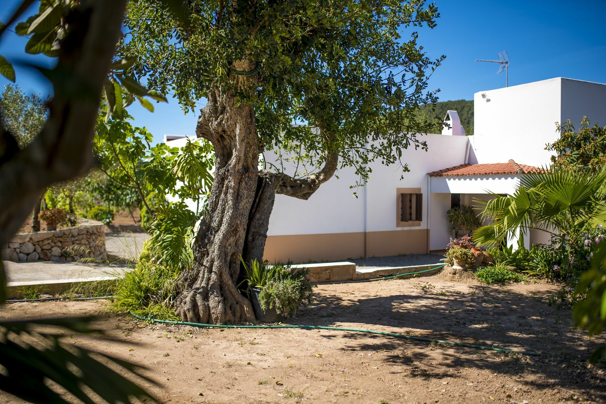 Concava Camp *