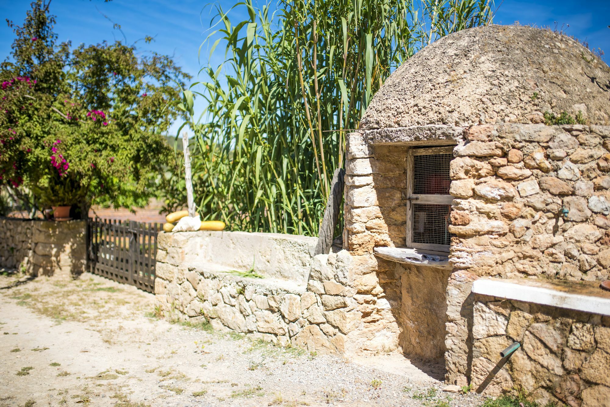 Concava Camp * San Antonio (Ibiza)