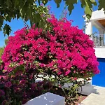 Es Queixal - Can Canet Con Piscina Exterior Climatizada
