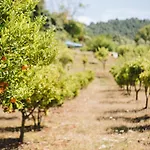 Casa Pacifica San Rafael Ibiza