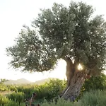 Finca Can Xo Ibiza