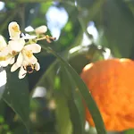Casa Rainer