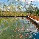Villa Munt Blanc Ibiza