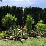 Villa Aloe Ibiza
