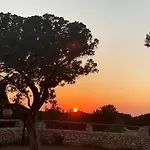 Es Pujols - Finca Can Mussenya