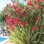 Agroturismo Can Pardal
