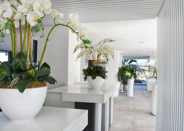 Address Ibiza Luxury Living