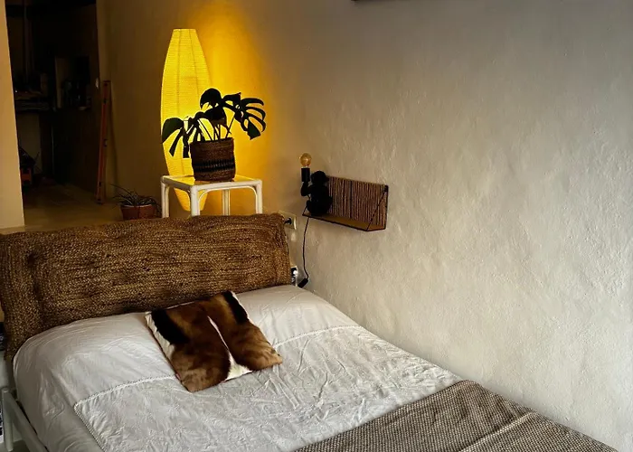 Sunny Casita In Jesus