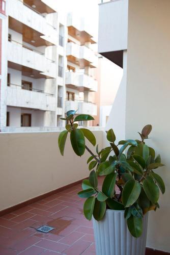 Ripoll Apartment Ibiza Town