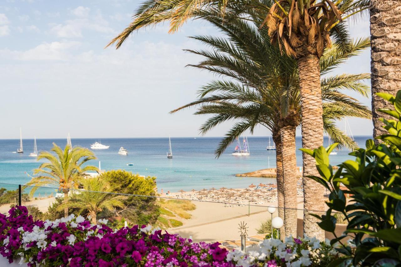 Insotel Tarida & Hotel