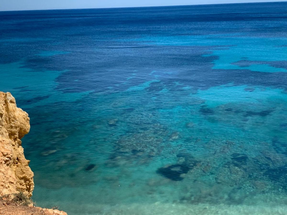 Ibiza Paradise *
