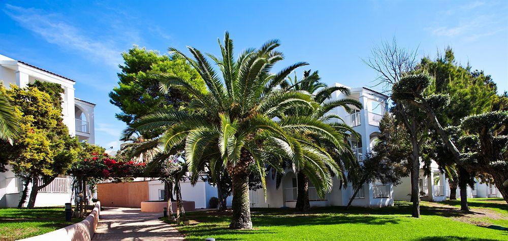 Apartment Insotel Club Tarida Playa *