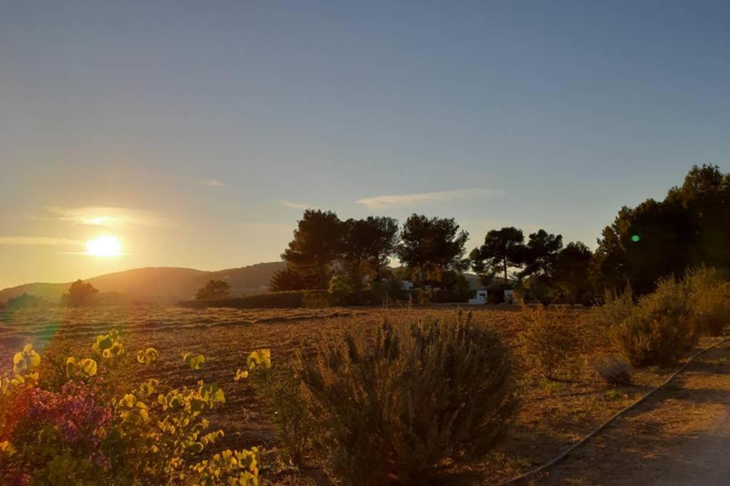 Villa Sa Vinyeta De Balafia *