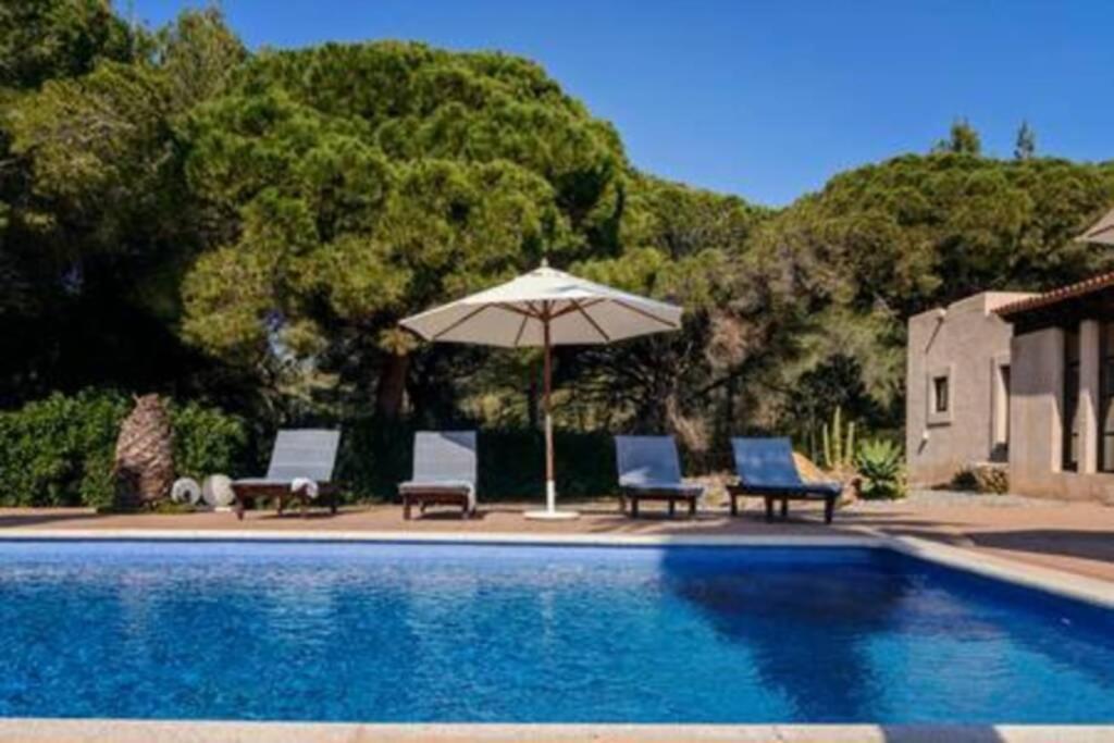 Olivo - 6 Pax En Ibiza Villa