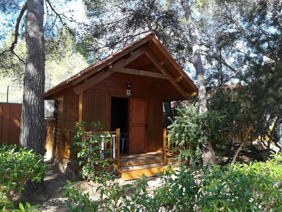 Cala Nova Campsite *
