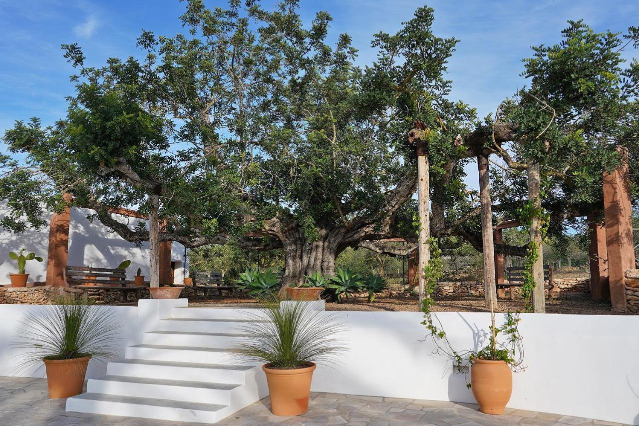 Villa Vicent San Antonio (Ibiza)