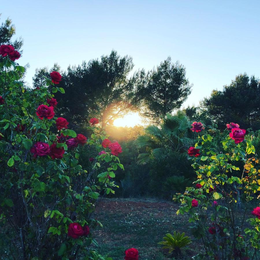 Villa Toni Miqueli Santa Gertrudis (Ibiza)