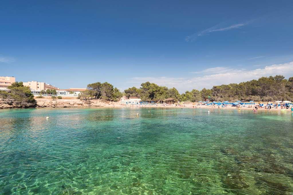Hotel Occidental Ibiza Port d'es Torrent