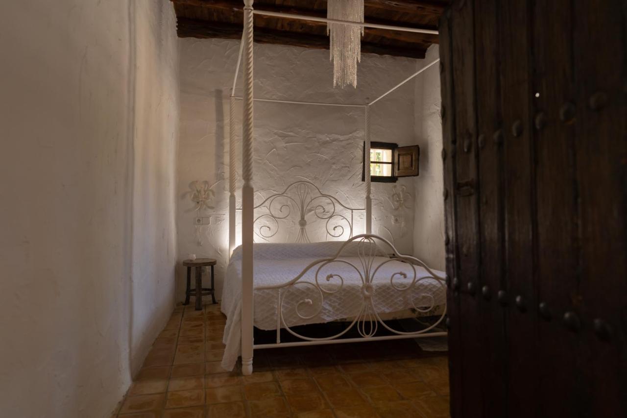 Mariposas San Antonio (Ibiza)